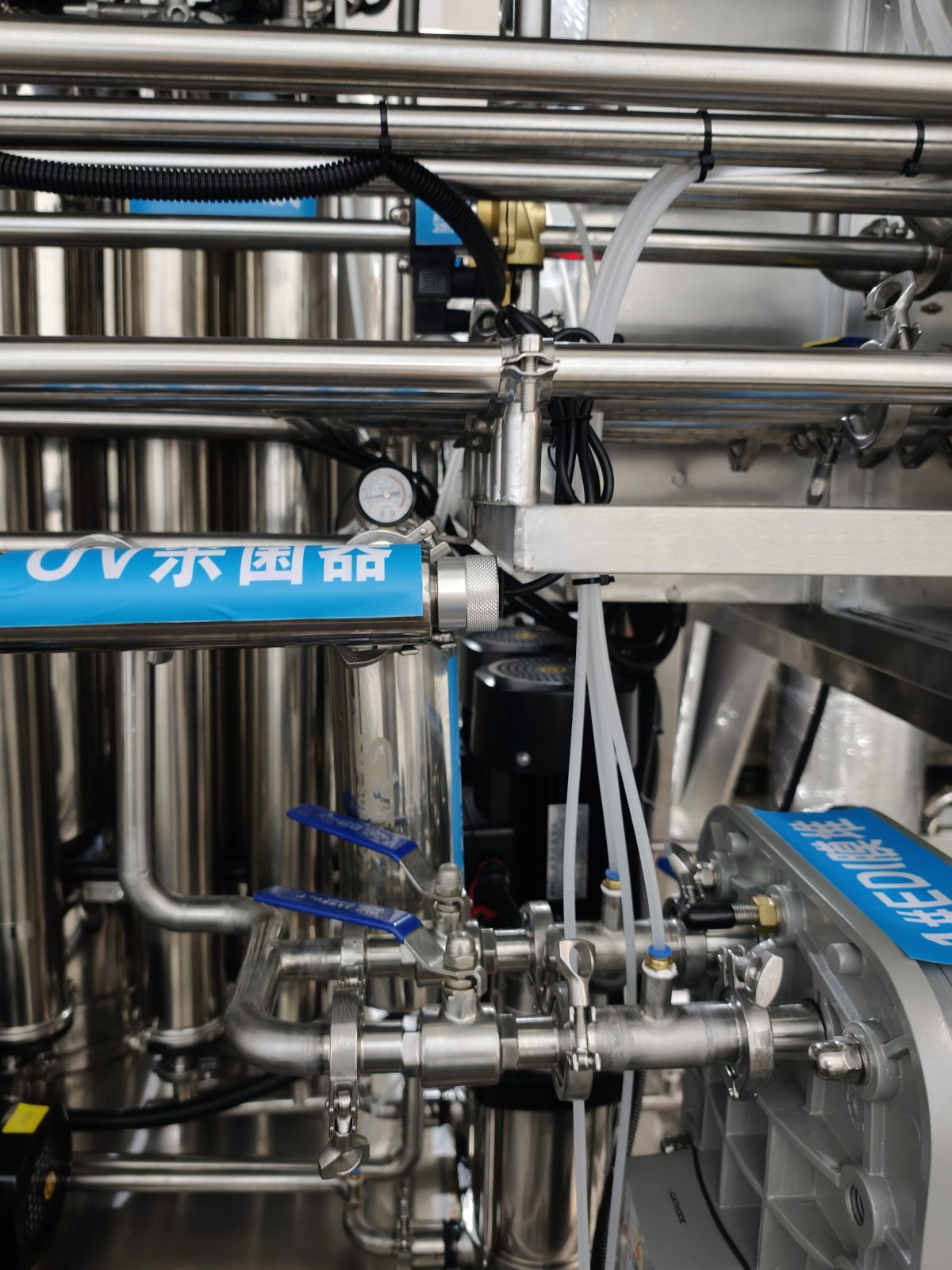 Sanitary GMP-grade columns in an ultrapure water polishing train